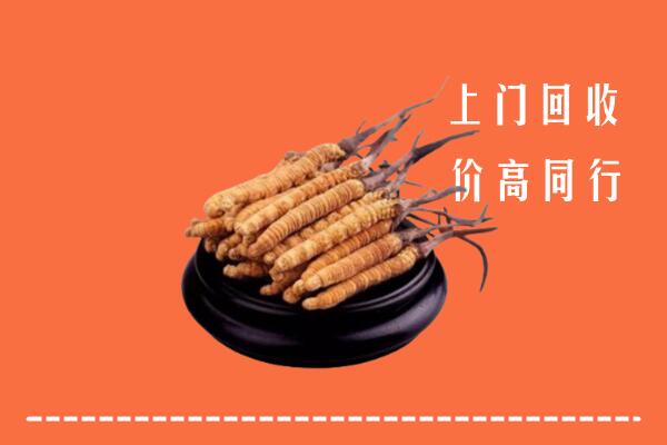 新沂市回收散虫草